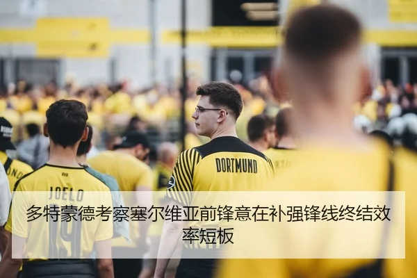 多特蒙德考察塞尔维亚前锋意在补强锋线终结效率短板
